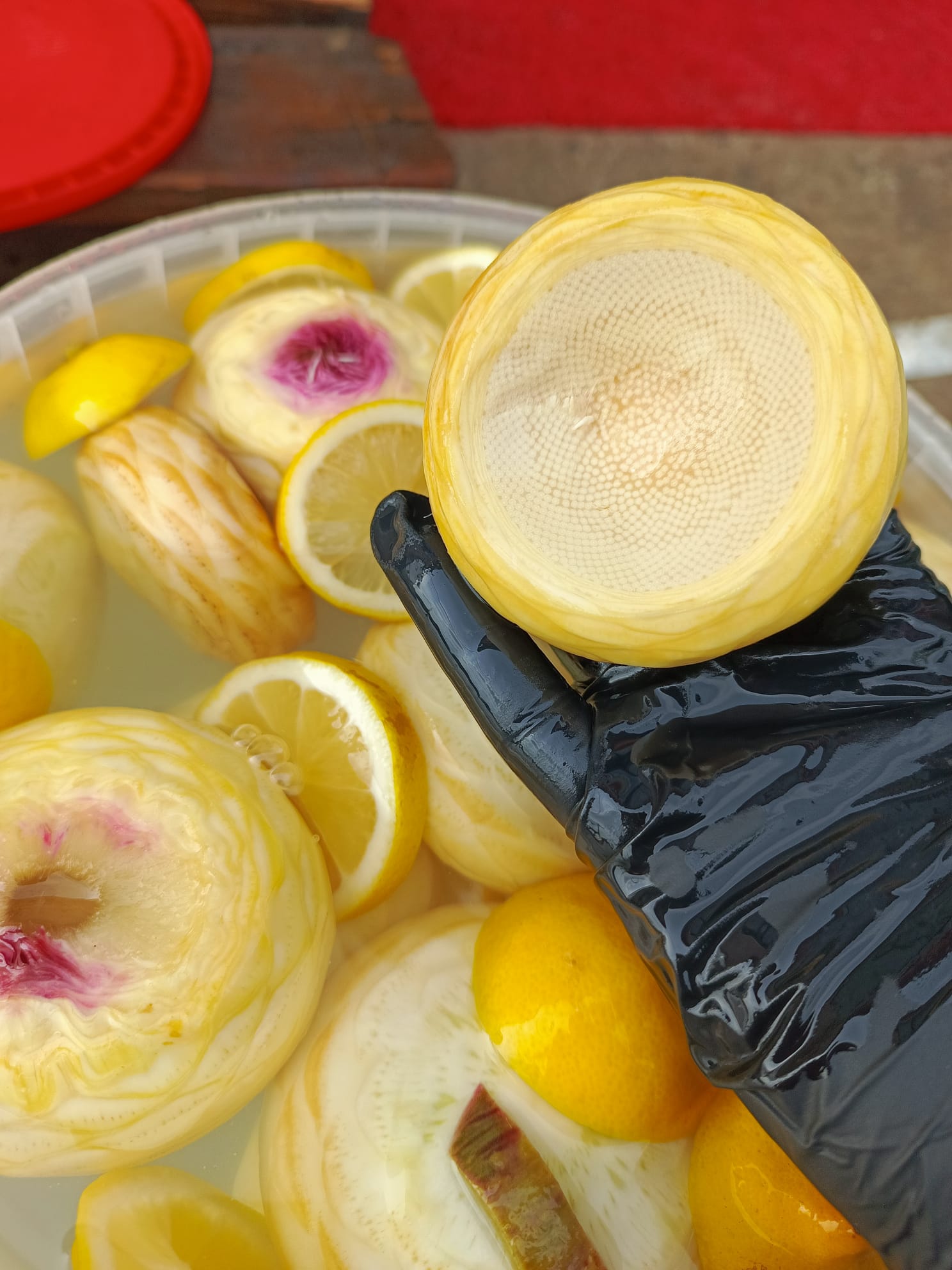 Çanak Enginar 10'lu